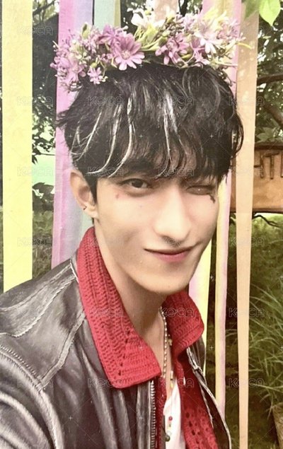 碩 專卡/特典區