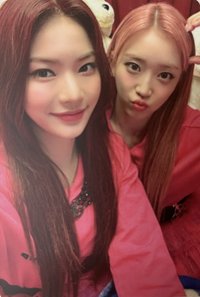 泰迪熊 bushiya 塔店 特典卡 