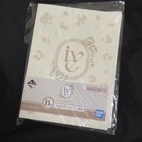 B賞 全新未拆卡冊（左邊）