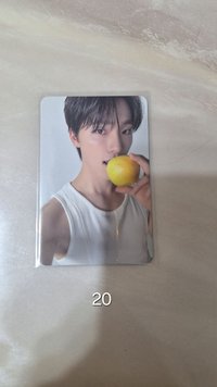 精選專親愛盤 燦