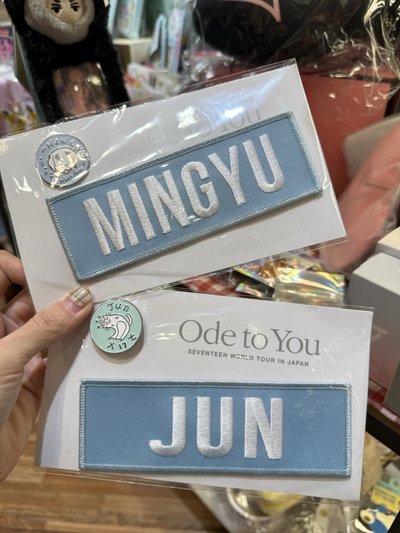 Ode to you 姓名布章徽章組 