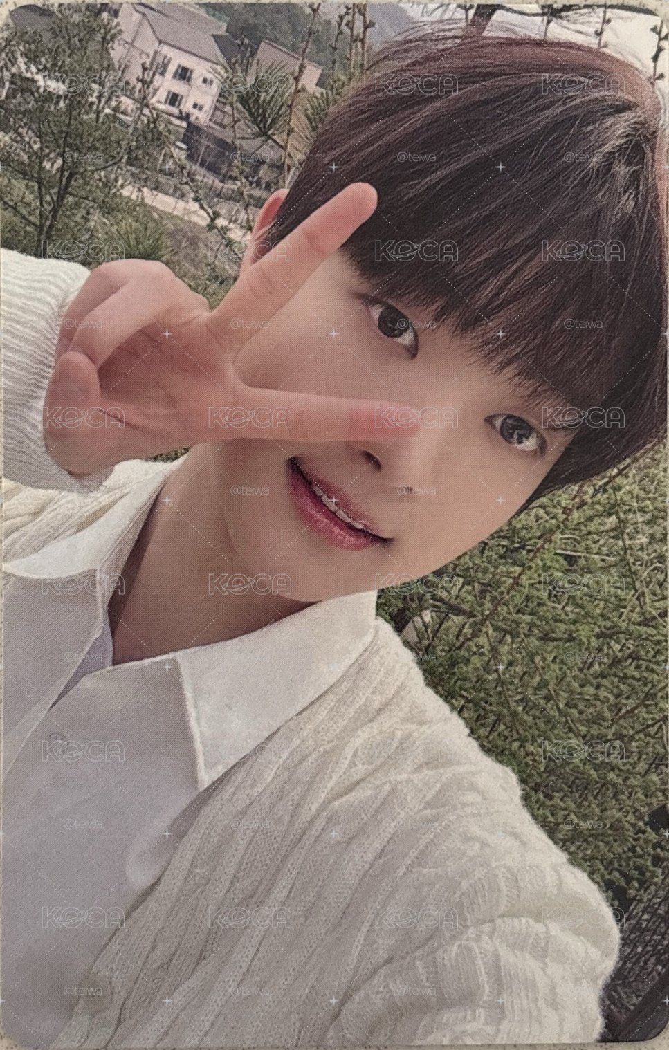 上排牙齒✌🏻