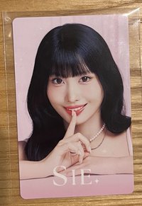 MOMO X SIE. 代言卡 