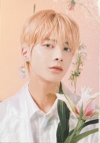 23‘巡迴 京瓷 隨機卡 