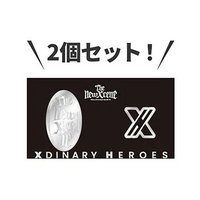 The New Xcene 別針 