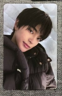 wvs2.0雪地鎬