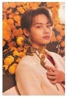 MINI8 one side 明信片 