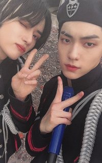 CW 專輯卡 通常盤