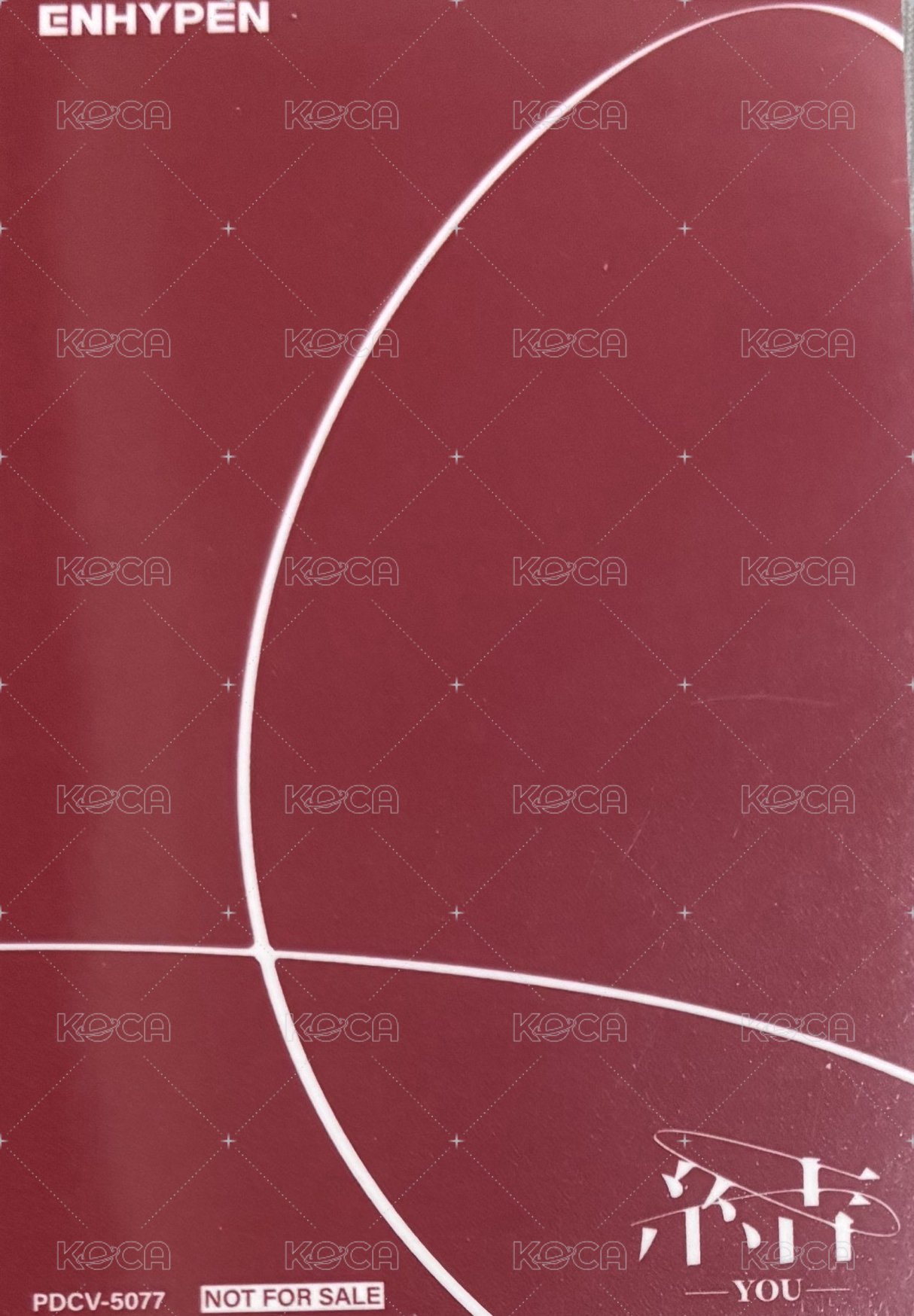 結 -YOU- 環球盤 專輯卡 梁禎元 背面