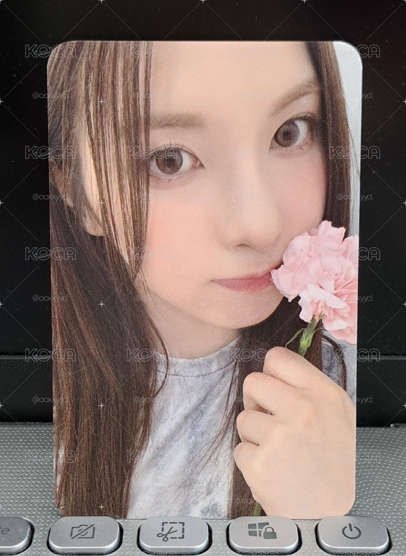 仲夏夜 K4 拿花裴