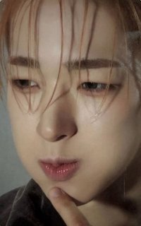 迷一 電子專 專輯卡 固配