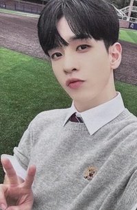 紐約校服盒子船特馬