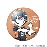 B-SIDE LABEL 徽章 