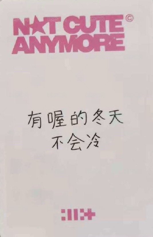 NOT CUTE ANYMORE yzy 預售2.0 特典卡  背面