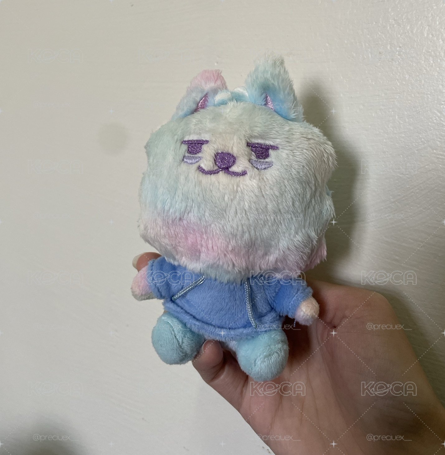 彩皮勇猛