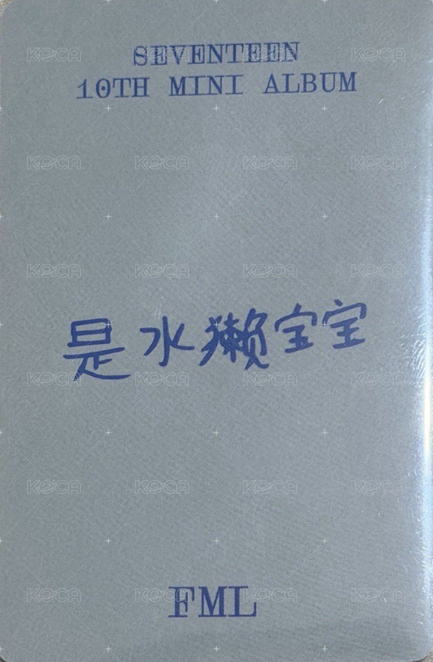 MINI10 yzy 5.0 中背 特典卡  背面