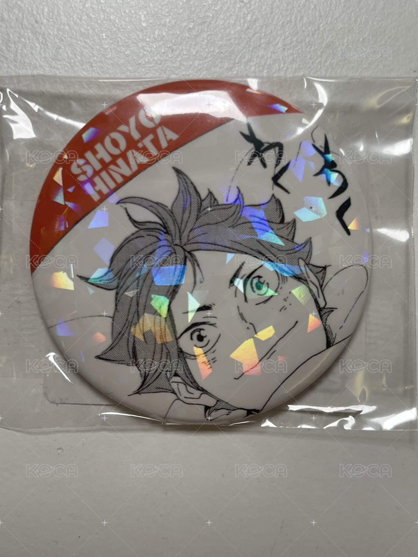 睡覺日向
