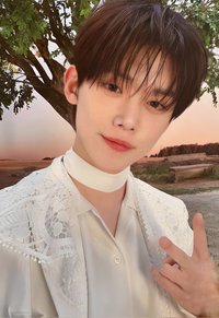 24’巡迴 周邊卡 外套卡