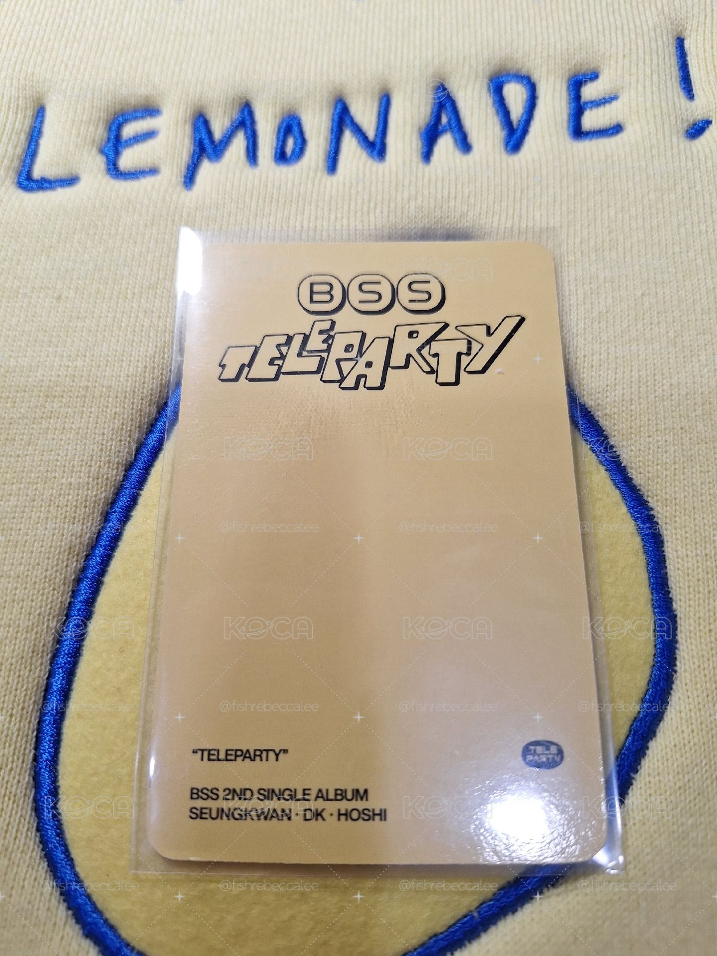 BSS TELEPARTY DK