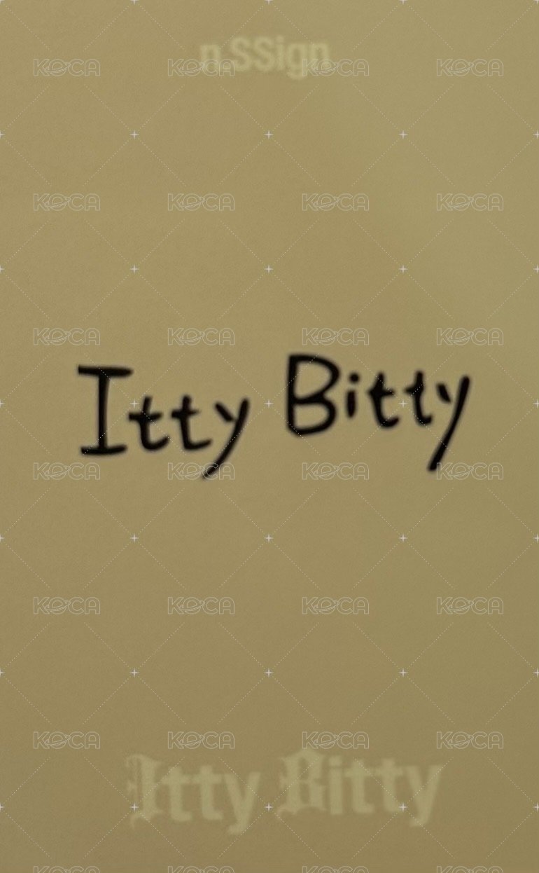 Itty Bitty 專輯卡 INDIVISUAL ver. 背面