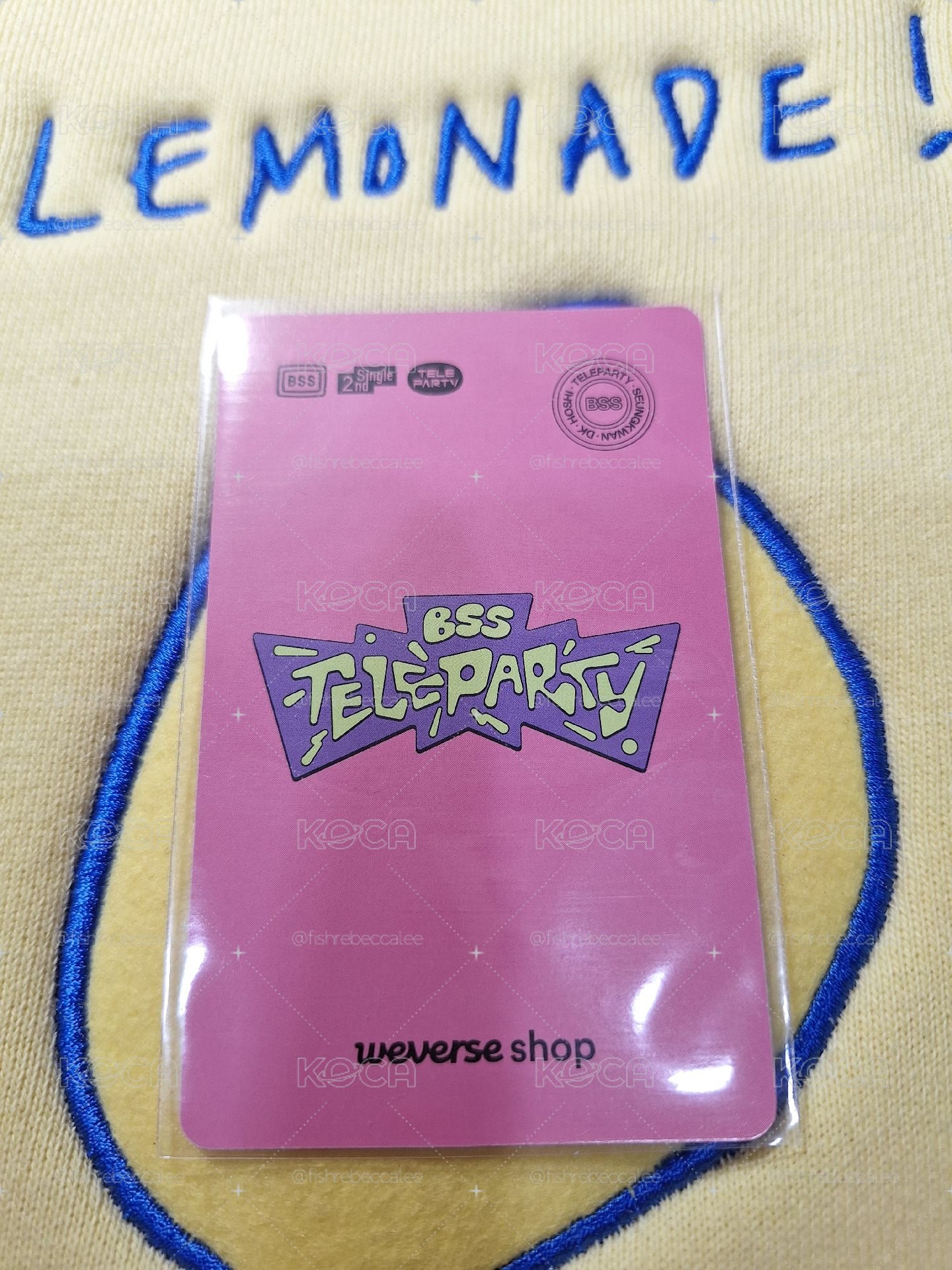 BSS TELEPARTY DK