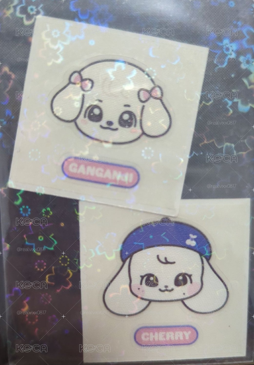minive快閃店