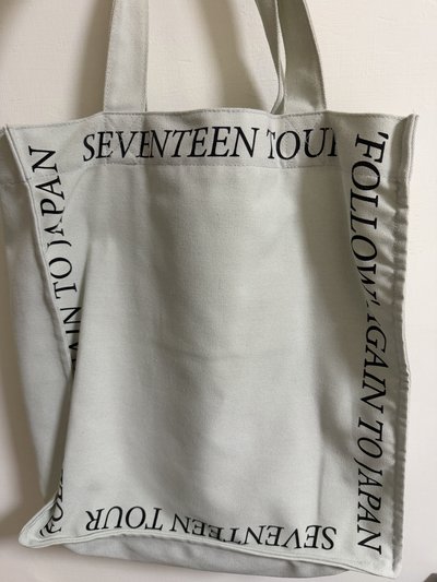 Follow again to Japan 帆布包+pvc保護套