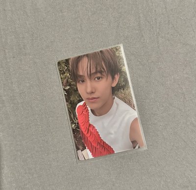 Nara 魚眼訓 美網玹 已拆S3專鎬卡