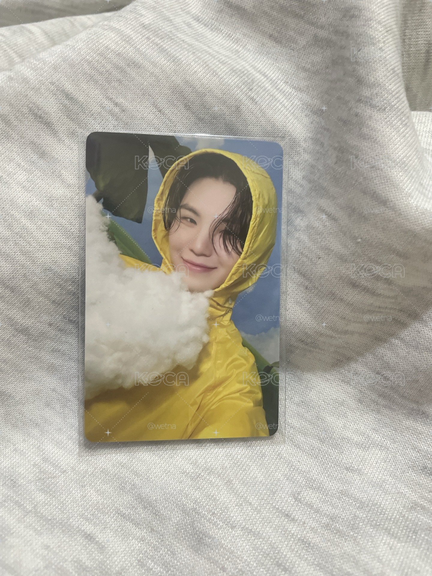⭐️WOOZI 迷你十一 克拉盤版