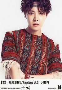 FAKE LOVE/Airplane pt.2 環球 生寫真 
