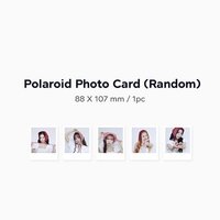 2026年曆 隨機拍立得