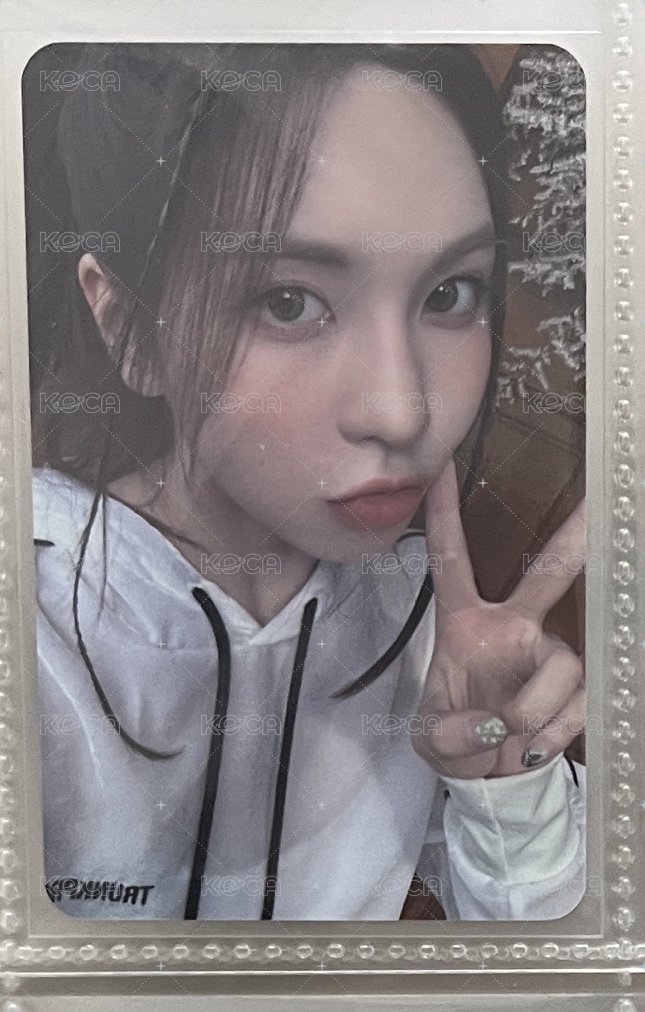 🐦大學立牌裴