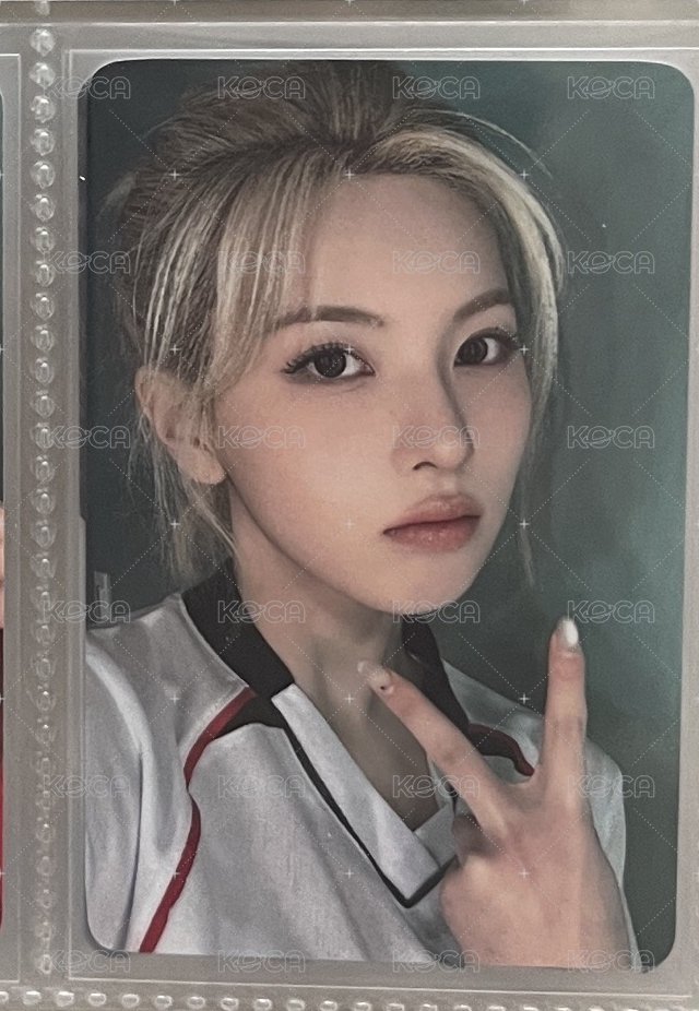 🐦手渡裴