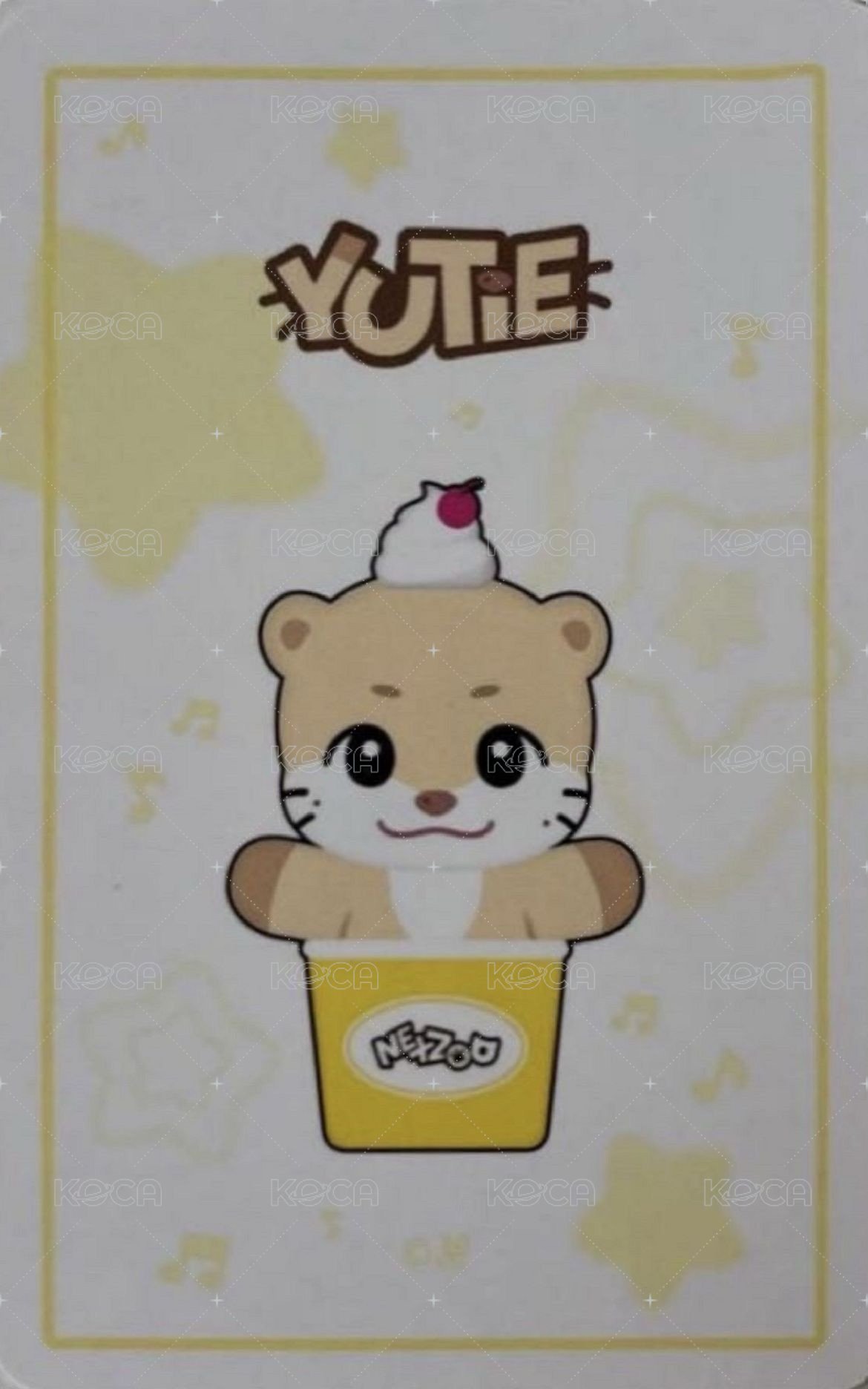 1st SCOOP 周邊卡 小卡組 背面