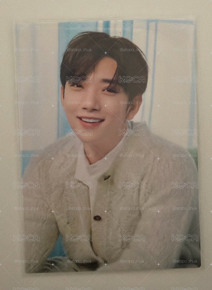 seventeen’s home 卡包 知秀