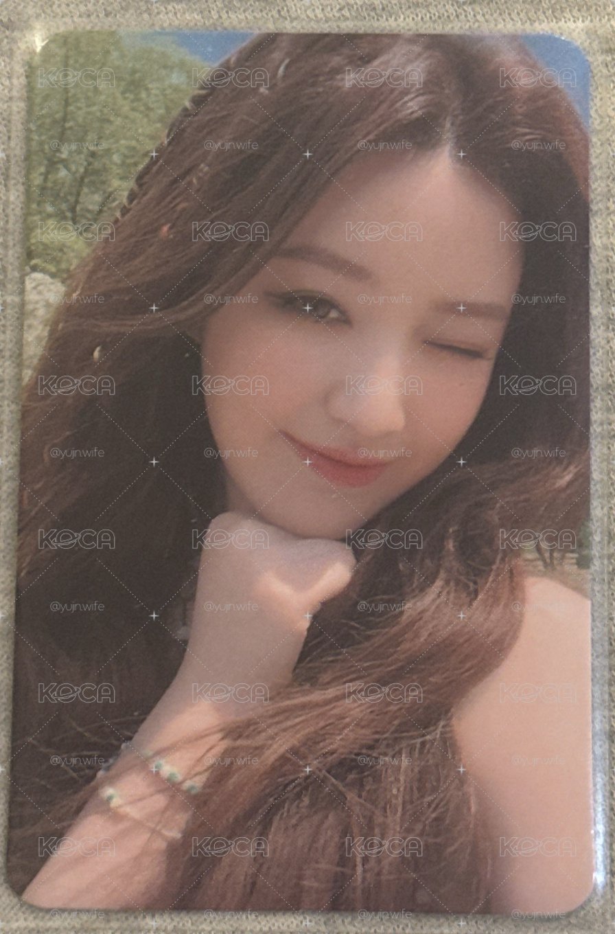 美美刷