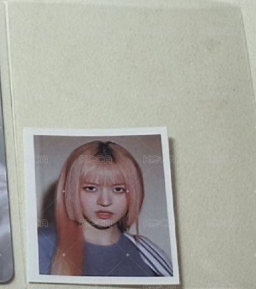 巴黎莉證件照
