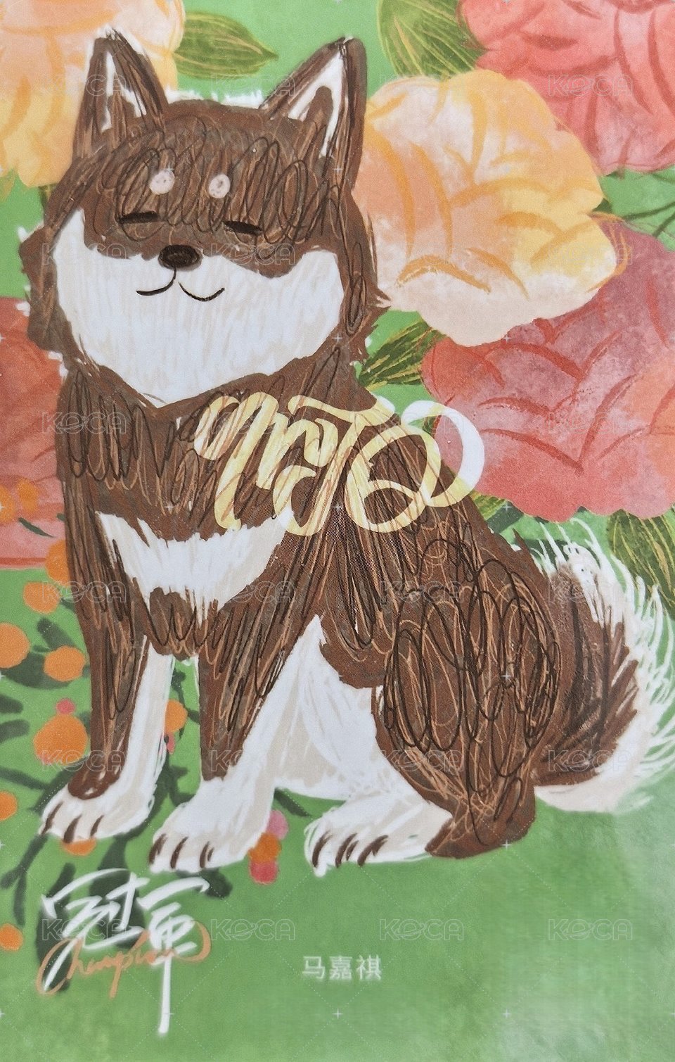 大連冠軍 隨機卡 1單人普卡 背面