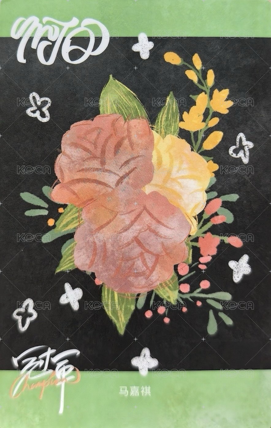 大連冠軍 隨機卡 1單人拍立得卡 背面