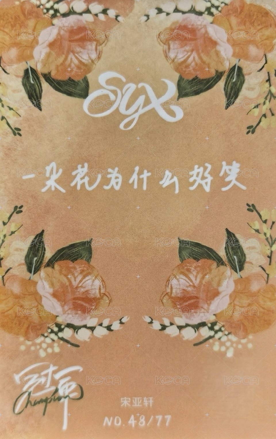 大連冠軍 隨機卡 3單人普卡 背面