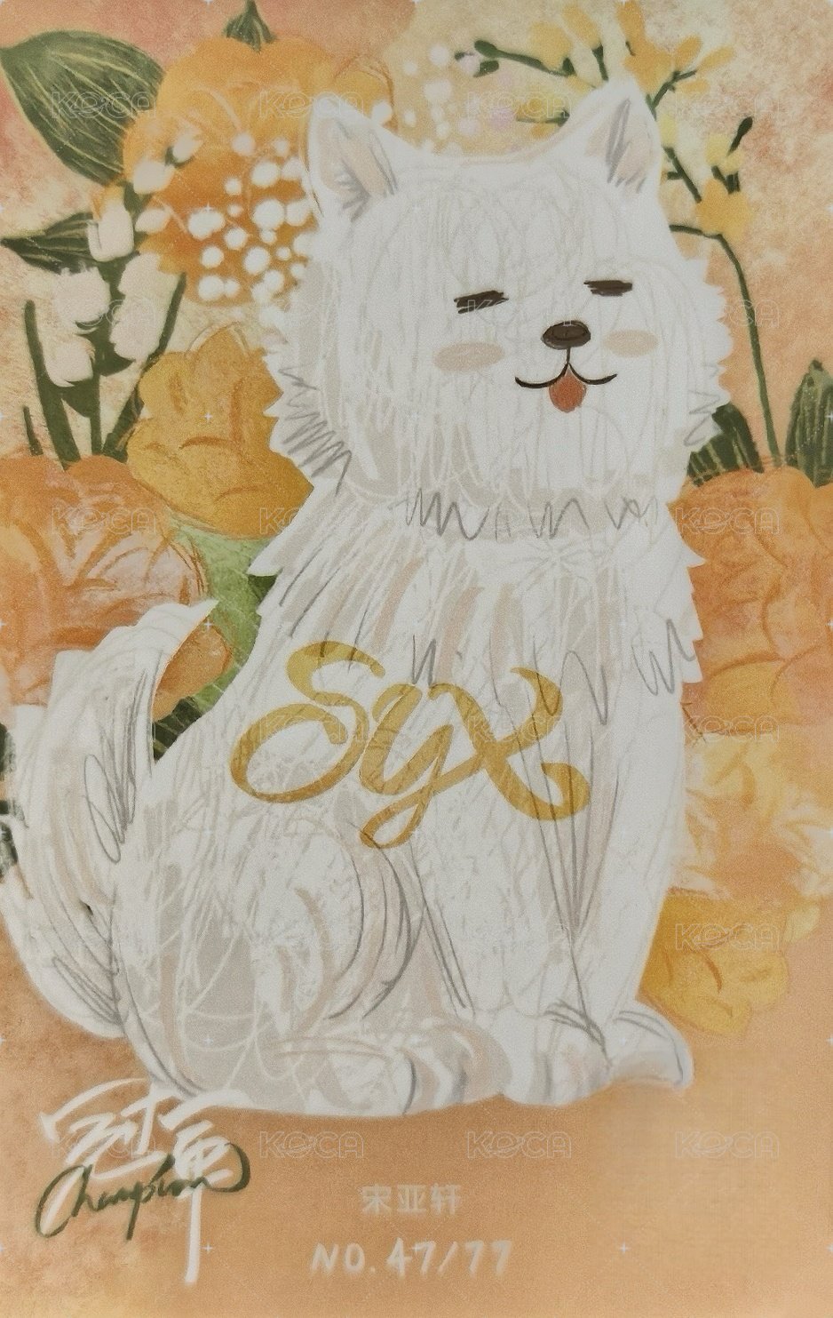 大連冠軍 隨機卡 3單人普卡 背面