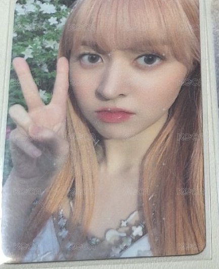 莉