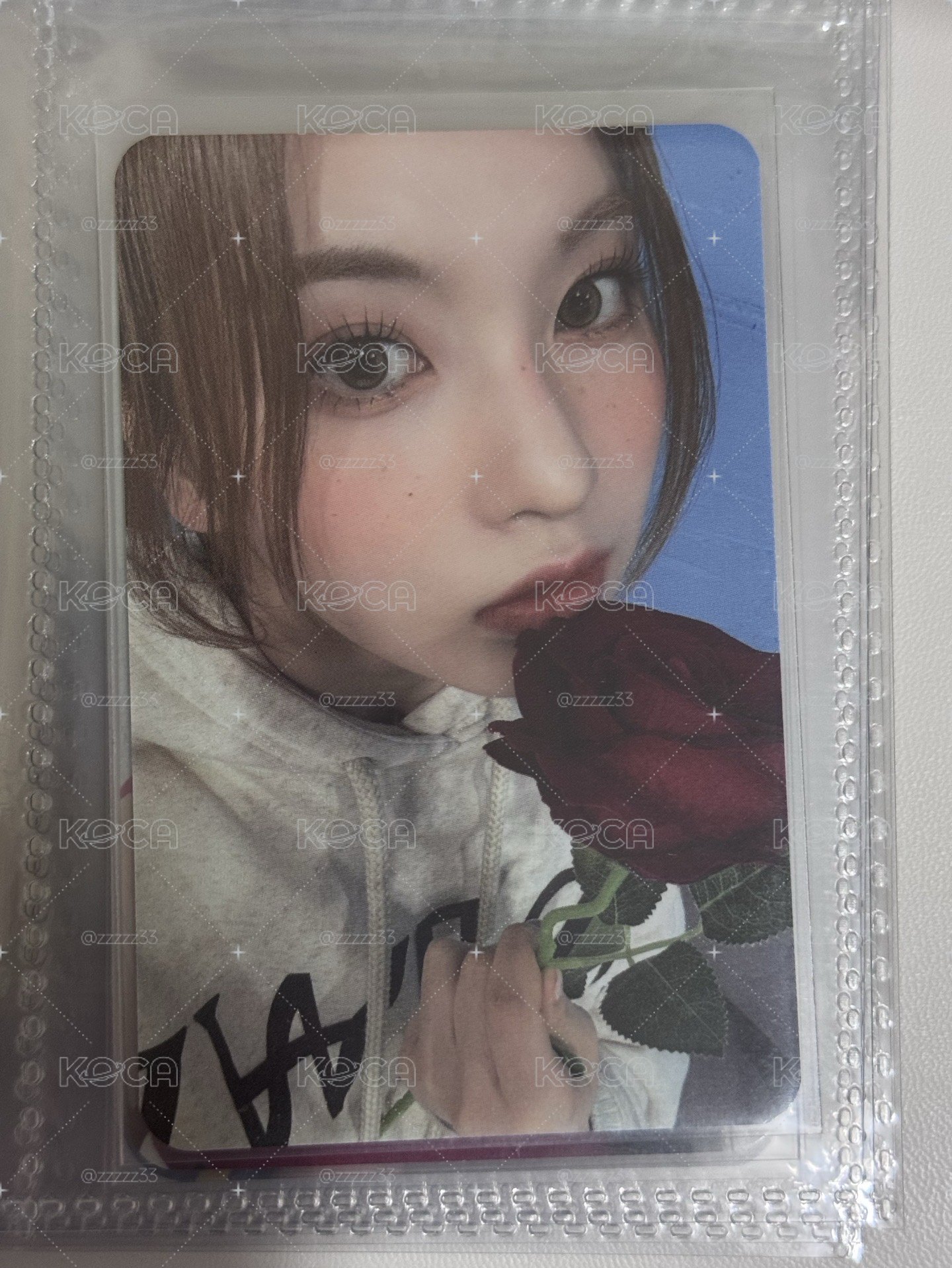 ms玫瑰 裴