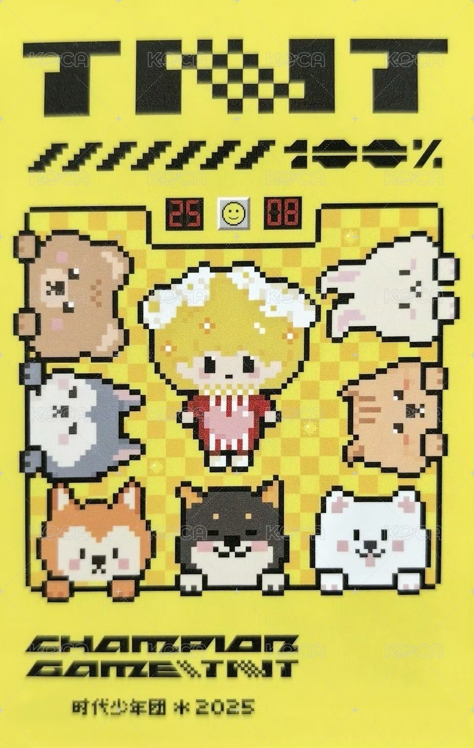 上海冠軍T恤 周邊卡 6T恤卡 背面