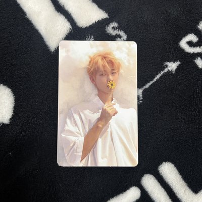 17回憶錄 普版南俊