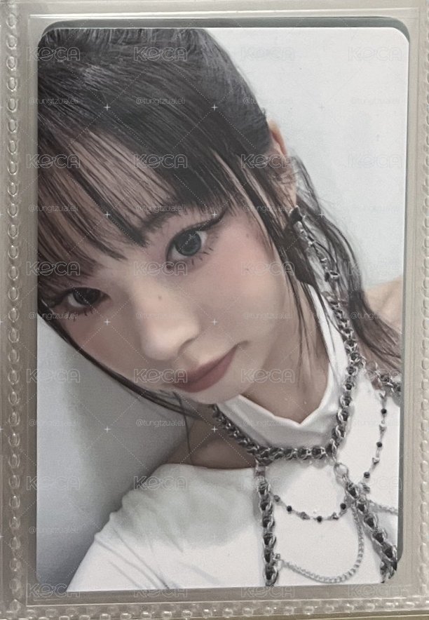 🐦MSLD 年末圭