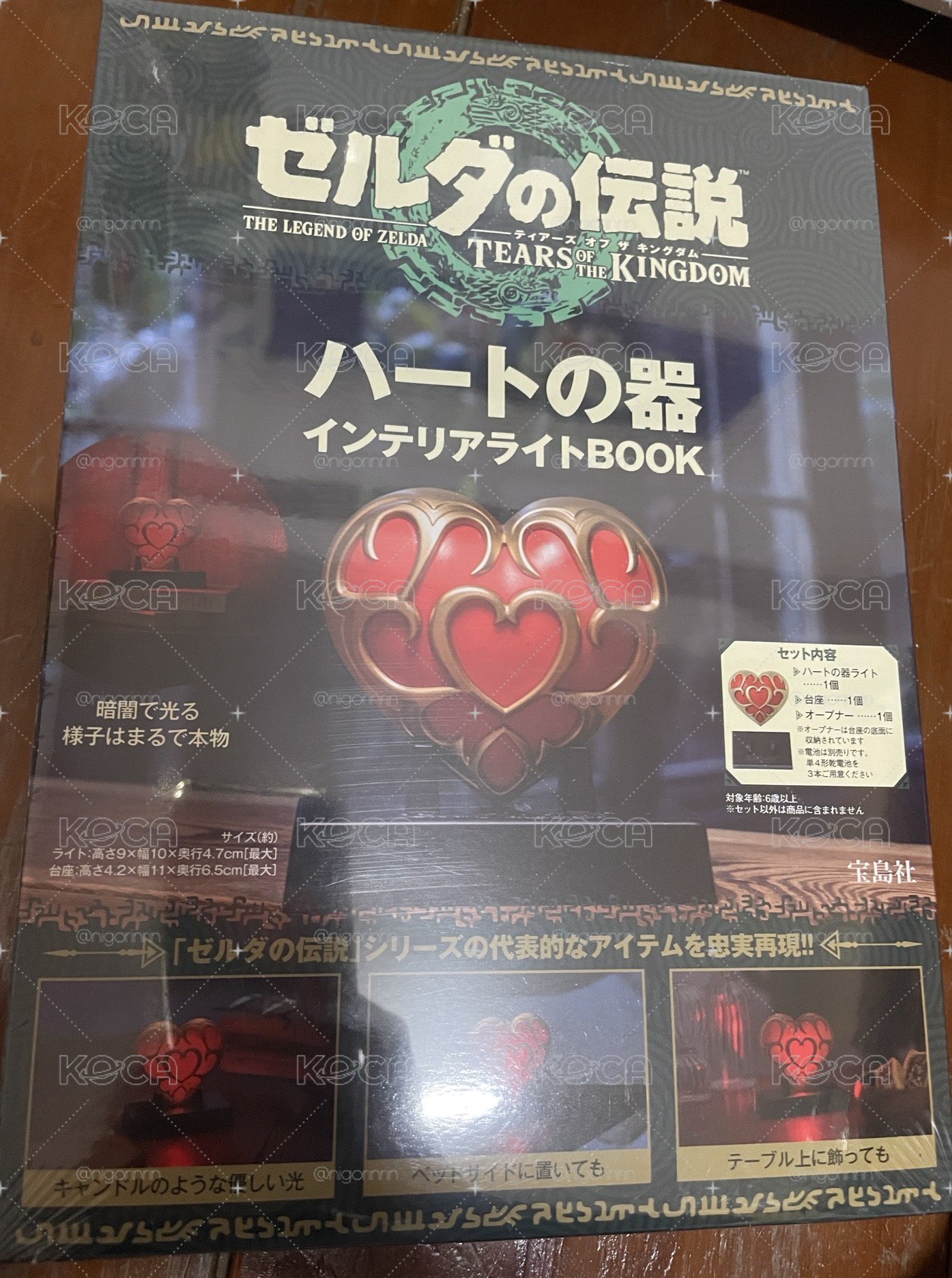 薩爾達傳說 王國之淚 心之器 裝飾夜燈BOOK：附造型夜燈