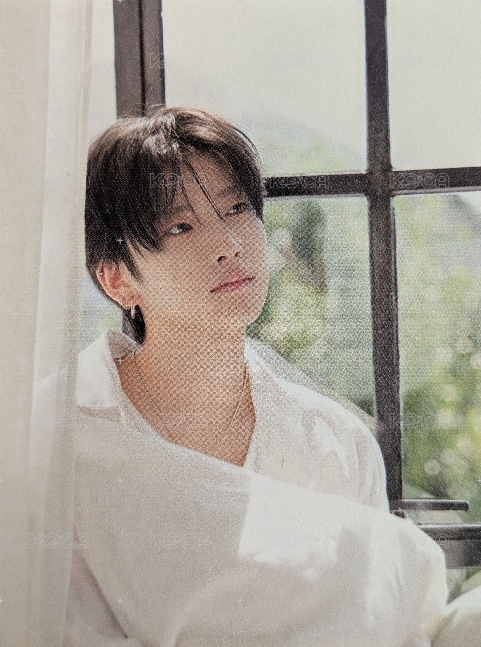 2026年曆 wvs 通路 特典卡 風琴卡(背面Yuma) 背面