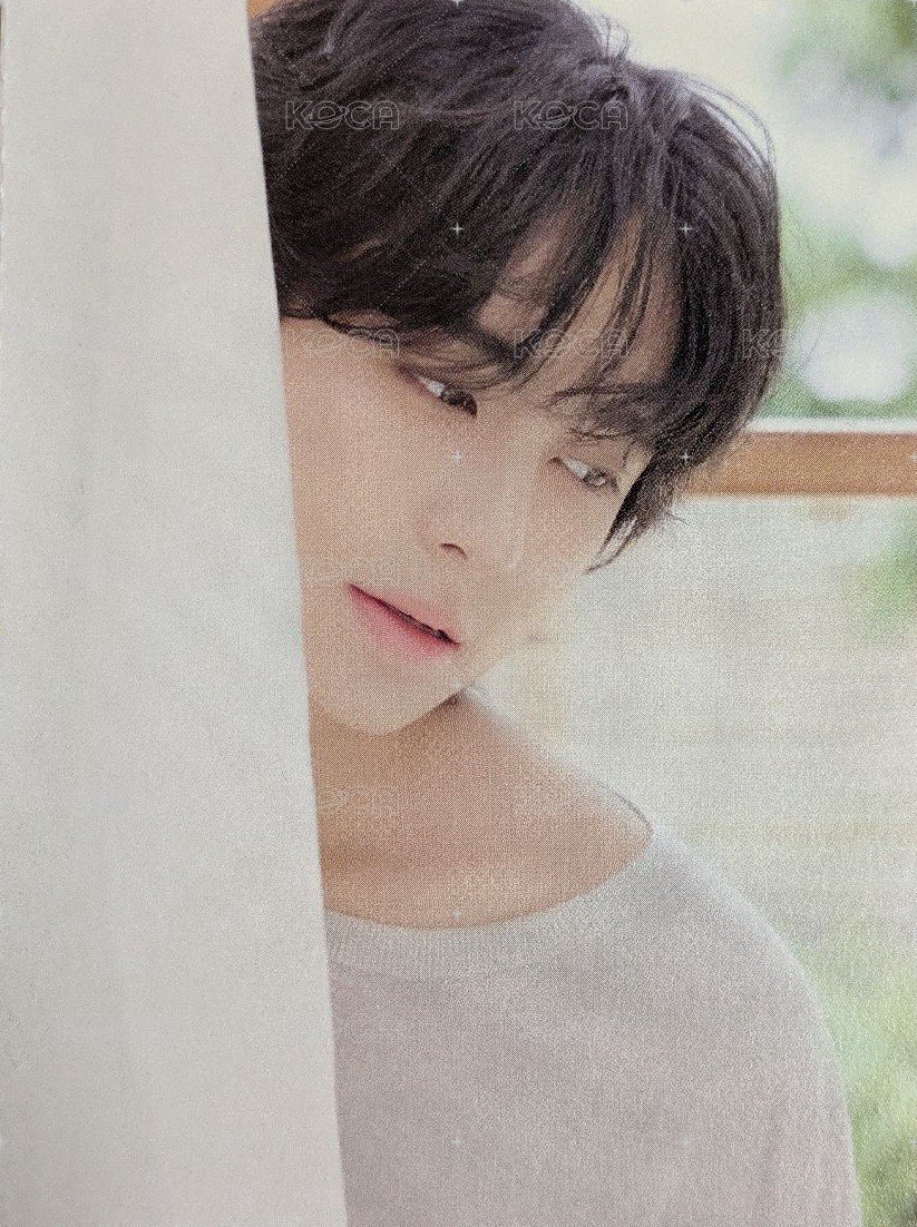 2026年曆 wvs 通路 特典卡 風琴卡(背面Taki) 背面