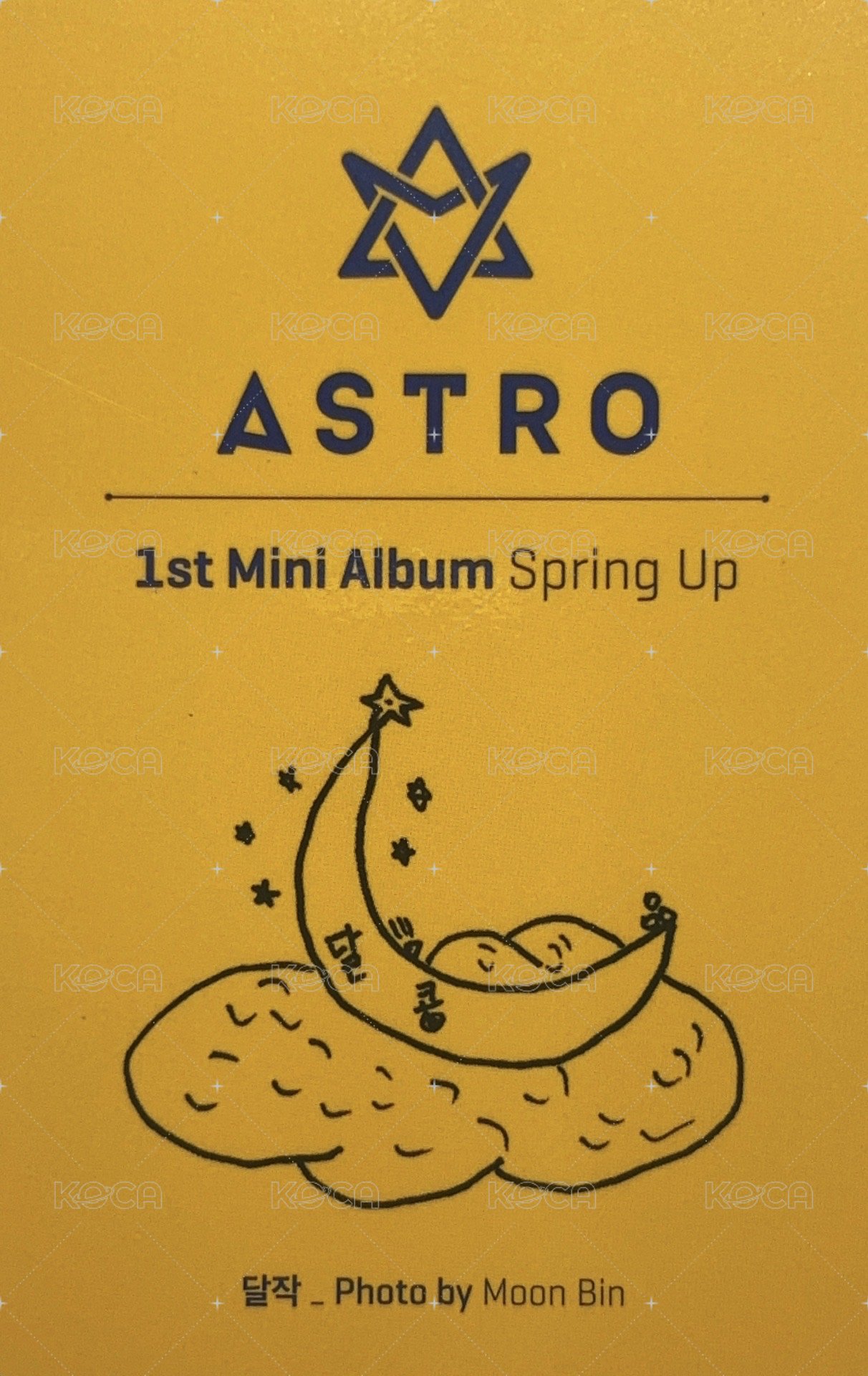 春專 專輯卡  背面